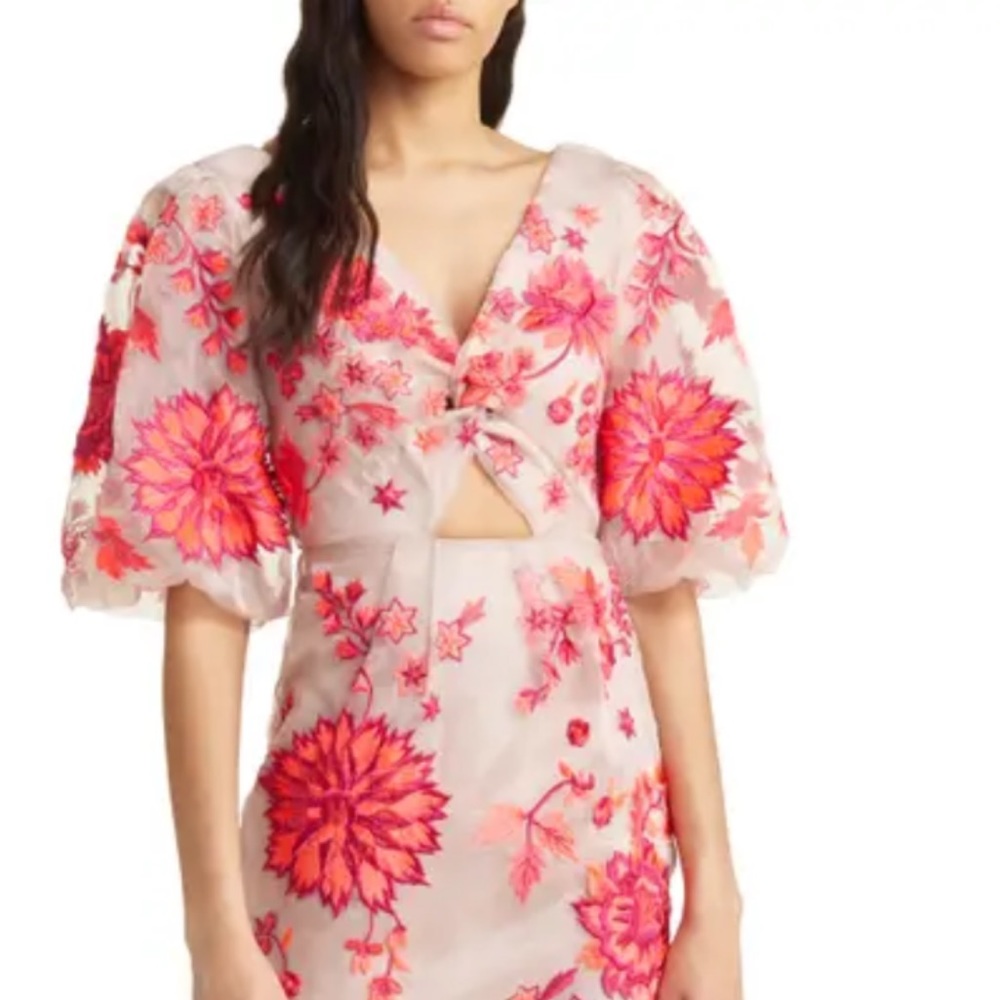 ASOS DESIGN
Embroidered Organza Midi new